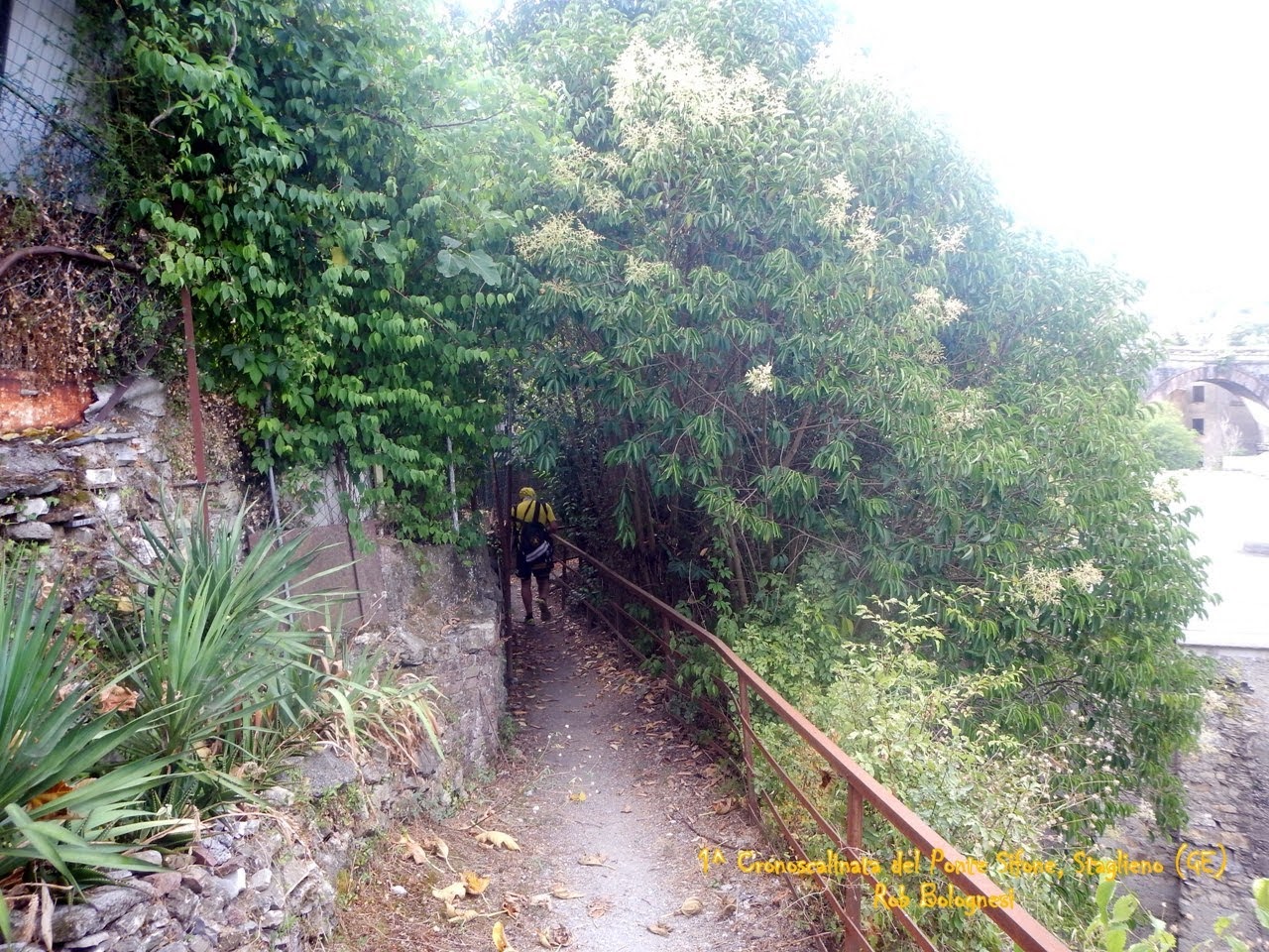 Paolo Quarantelli podismo gara Gau fidal running flash prima cronoscalinata Ponte Sifone a Staglieno Genova